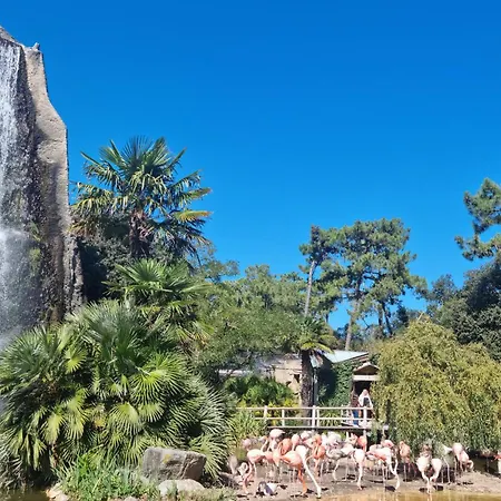 Lovely In With Wifi شقة *