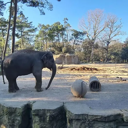 Lovely In With Wifi شقة رويا