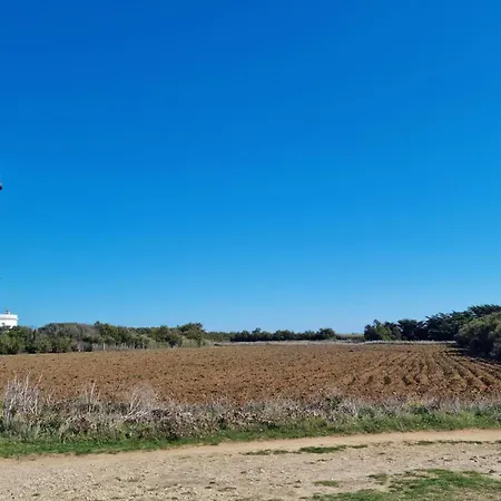 شقة Lovely In With Wifi رويا